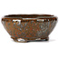 Round red brown bonsai pot by Bonsai - 115 x 115 x 50 mm