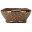 Vaso per bonsai rotondo rosso marrone di Bonsai - 115 x 115 x 50 mm