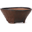 Pot à bonsaï rond marron par Bonsai - 120 x 120 x 55 mm