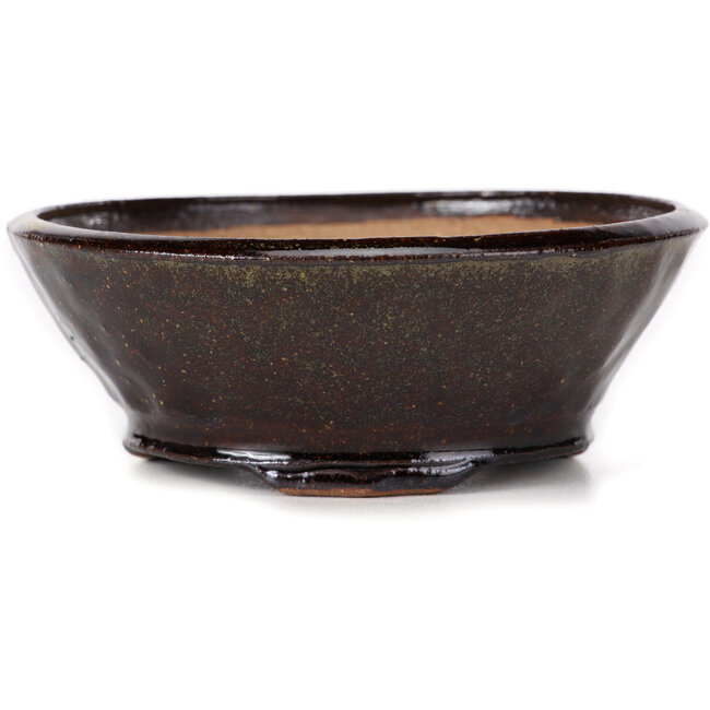 Maceta de bonsái marrón redonda de Bonsai - 115 x 115 x 45 mm