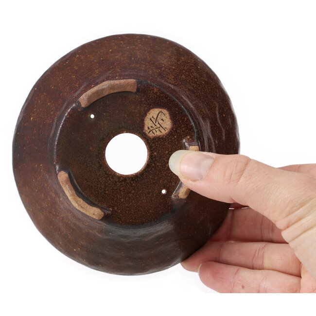 Vaso bonsai rotondo marrone di Bonsai - 120 x 120 x 55 mm