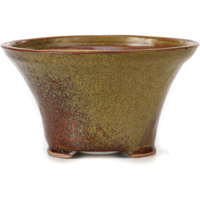 Vaso bonsai rotondo verde e marrone di Bonsai - 115 x 115 x 65 mm