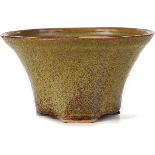 Maceta de bonsái redonda verde y marrón de Bonsai - 115 x 115 x 65 mm