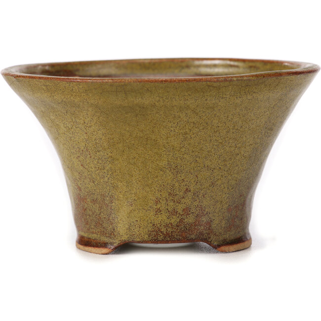 Runde grüne und braune Bonsaischale von Bonsai - 115 x 115 x 65 mm