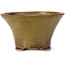 Pot à bonsaï rond vert et marron par Bonsai - 115 x 115 x 65 mm