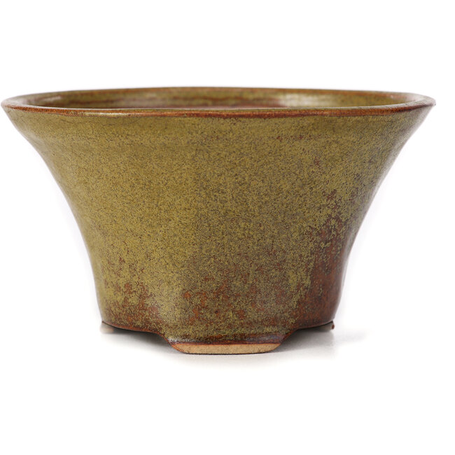 Vaso bonsai rotondo verde e marrone di Bonsai - 115 x 115 x 65 mm