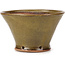 Pot à bonsaï rond vert par Bonsai - 115 x 115 x 70 mm