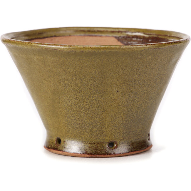 Vaso bonsai rotondo verde di Bonsai - 115 x 115 x 70 mm