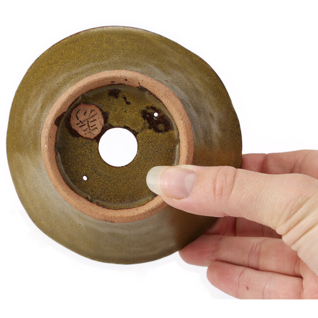Pot à bonsaï rond vert par Bonsai - 115 x 115 x 70 mm
