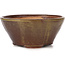 Round green and brown bonsai pot by Bonsai - 125 x 125 x 60 mm