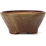 Round green and brown bonsai pot by Bonsai - 125 x 125 x 60 mm