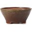 Round green and brown bonsai pot by Bonsai - 125 x 125 x 60 mm