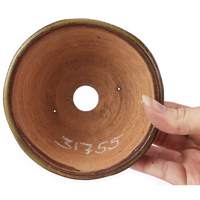 Pot à bonsaï rond vert et marron par Bonsai - 125 x 125 x 60 mm