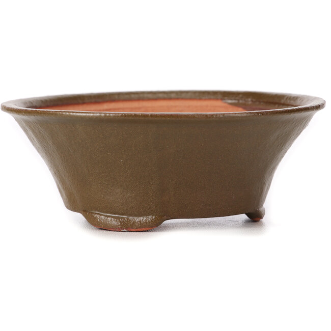 Pot à bonsaï rond vert par Bonsai - 125 x 125 x 50 mm