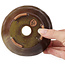 Pot à bonsaï rond vert et marron par Bonsai - 125 x 125 x 60 mm