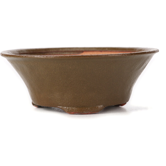 Maceta de bonsái verde redonda de Bonsai - 125 x 125 x 50 mm