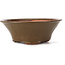 Ronde groene bonsai pot van Bonsai - 125 x 125 x 50 mm