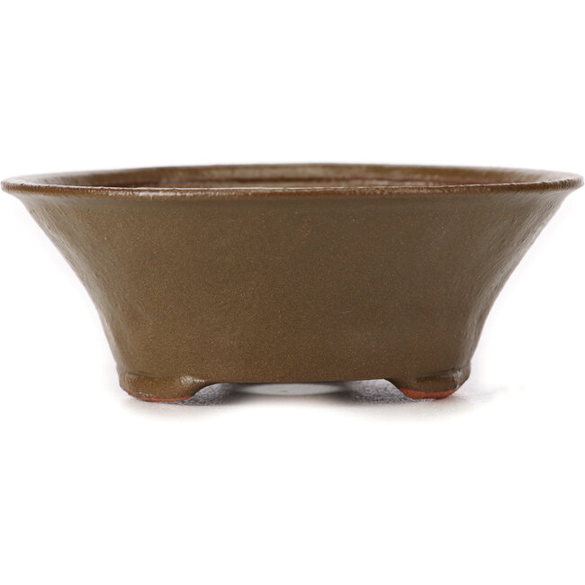 Runde grüne Bonsaischale von Bonsai - 125 x 125 x 50 mm