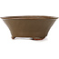 Ronde groene bonsai pot van Bonsai - 125 x 125 x 50 mm