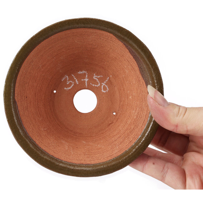 Pot à bonsaï rond vert par Bonsai - 125 x 125 x 50 mm