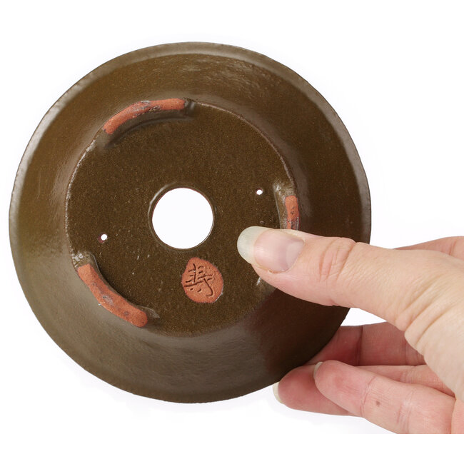 Pot à bonsaï rond vert par Bonsai - 125 x 125 x 50 mm