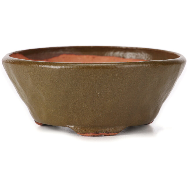 Maceta de bonsái verde redonda de Bonsai - 115 x 115 x 50 mm