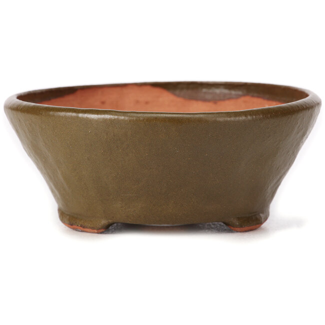 Round green bonsai pot by Bonsai - 115 x 115 x 50 mm