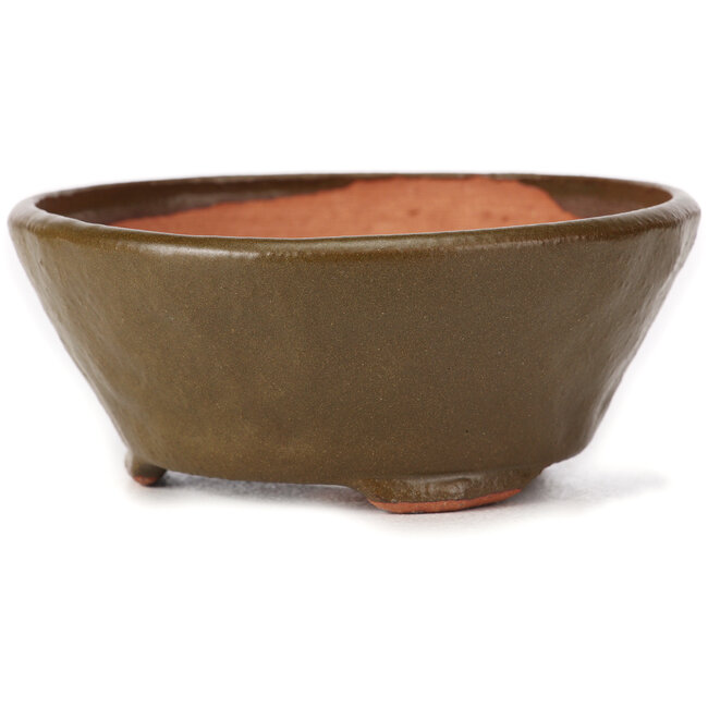 Maceta de bonsái verde redonda de Bonsai - 115 x 115 x 50 mm