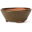 Pot à bonsaï rond vert par Bonsai - 115 x 115 x 50 mm