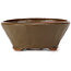 Pot à bonsaï rond vert par Bonsai - 115 x 115 x 50 mm