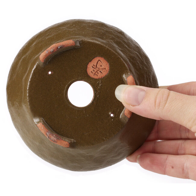 Pot à bonsaï rond vert par Bonsai - 115 x 115 x 50 mm