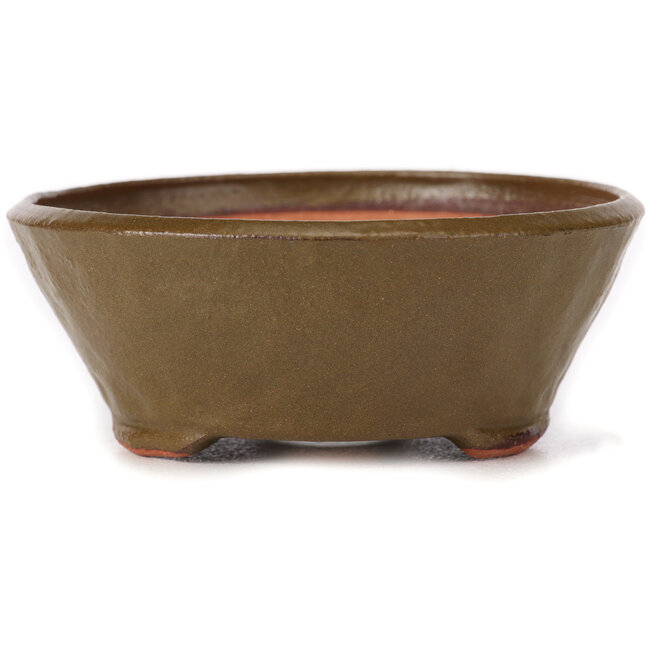 Pot à bonsaï rond vert par Bonsai - 115 x 115 x 45 mm