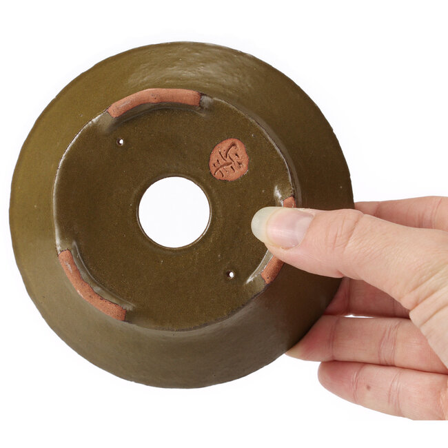Pot à bonsaï rond vert par Bonsai - 120 x 120 x 45 mm