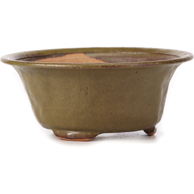 Maceta de bonsái verde redonda de Bonsai - 120 x 120 x 50 mm