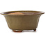 Pot à bonsaï rond vert par Bonsai - 120 x 120 x 50 mm