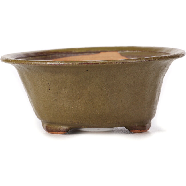 Maceta de bonsái verde redonda de Bonsai - 120 x 120 x 50 mm