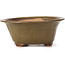 Pot à bonsaï rond vert par Bonsai - 120 x 120 x 50 mm