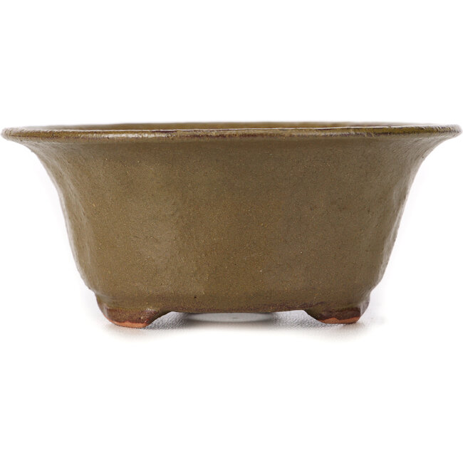Ronde groene bonsai pot van Bonsai - 120 x 120 x 50 mm