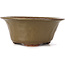 Round green bonsai pot by Bonsai - 120 x 120 x 50 mm