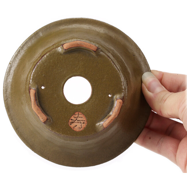 Pot à bonsaï rond vert par Bonsai - 120 x 120 x 50 mm