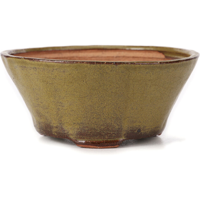 Pot à bonsaï rond vert par Bonsai - 120 x 120 x 55 mm