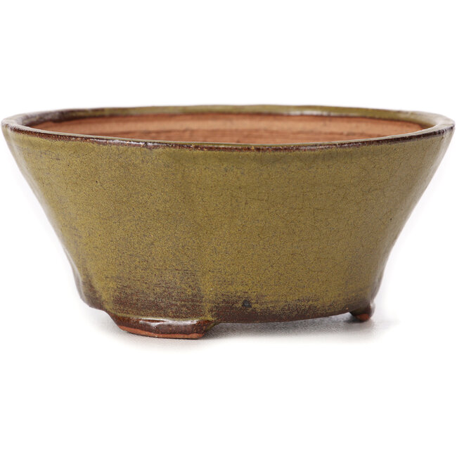 Maceta de bonsái verde redonda de Bonsai - 120 x 120 x 55 mm