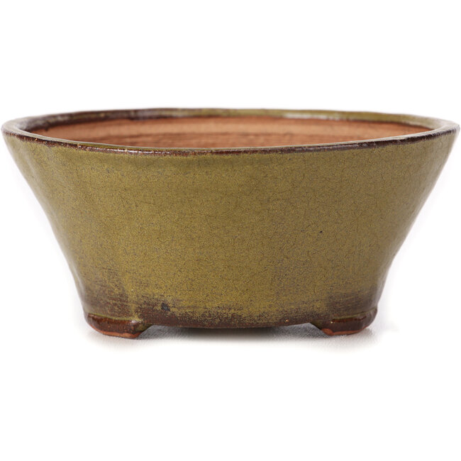 Pot à bonsaï rond vert par Bonsai - 120 x 120 x 55 mm