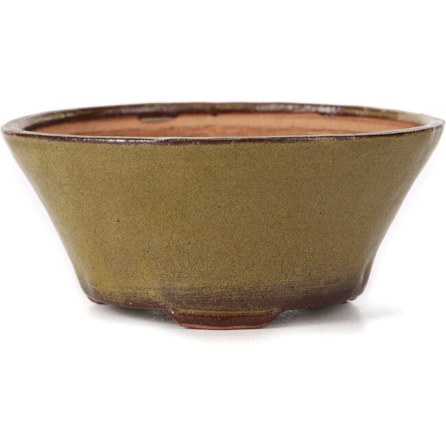 Vaso bonsai rotondo verde di Bonsai - 120 x 120 x 55 mm