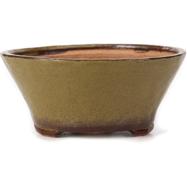 Vaso bonsai rotondo verde di Bonsai - 120 x 120 x 55 mm