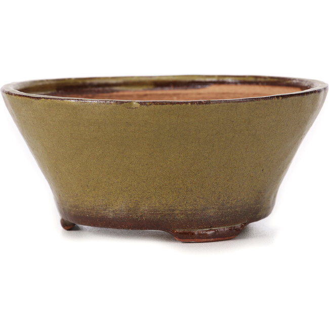 Pot à bonsaï rond vert par Bonsai - 120 x 120 x 55 mm