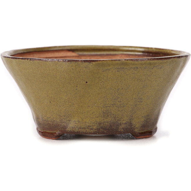 Maceta de bonsái verde redonda de Bonsai - 120 x 120 x 55 mm