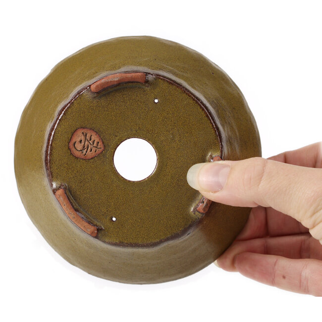 Pot à bonsaï rond vert par Bonsai - 120 x 120 x 55 mm