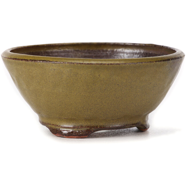 Round green bonsai pot by Bonsai - 115 x 115 x 50 mm