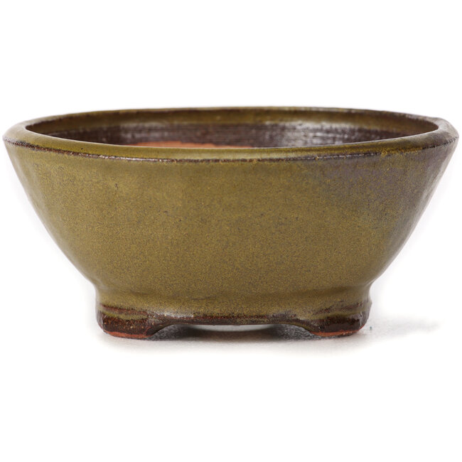 Ronde groene bonsai pot van Bonsai - 115 x 115 x 50 mm